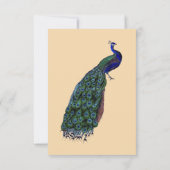 Vintage Pfaueneinladungen Save the Date (Rückseite)