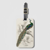 Vintage Pfauengeschichte Gepäckanhänger (Vorderseite Vertikal)