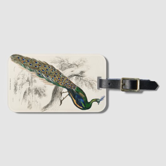 Vintage Pfauengeschichte Gepäckanhänger (Vorderseite (Horizontal))