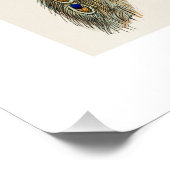 Vintage Pfauengeschichte Poster (Ecke)