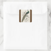 Vintage Pfauengeschichte Quadratischer Aufkleber (Tasche)