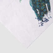 Vintage PfauenIllustration Seidenpapier (Ausschnitt)