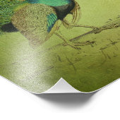 Vintage Pfauenkunst Fotodruck (Ecke)