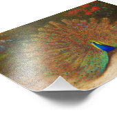 Vintage Pfauenmalerei Fotodruck (Ecke)