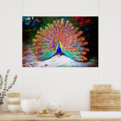 Vintage Pfauenmalerei Poster (Küche)