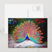 Vintage Pfauenmalerei Postkarte (Vorne/Hinten)