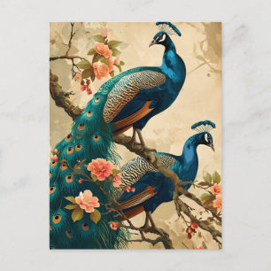 Vintage Pfauenplendor Postkarte
