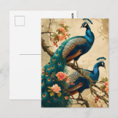 Vintage Pfauenplendor Postkarte (Vorne/Hinten)