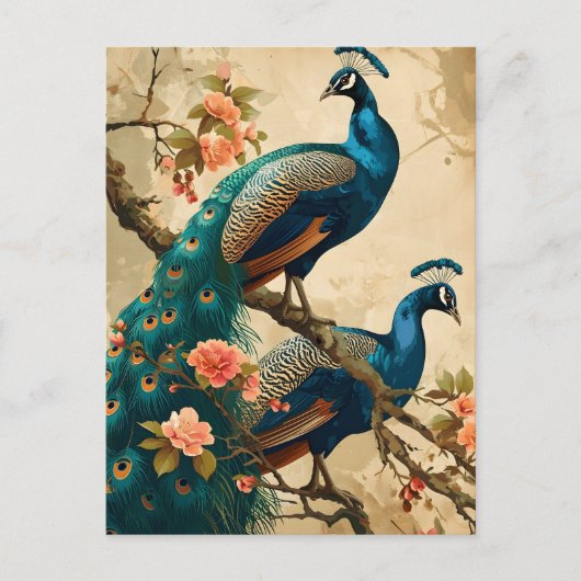 Vintage Pfauenplendor Postkarte (Vorderseite)