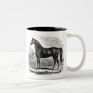 Vintage Pferd aus dem 19. Jahrhundert - Morgan Rei Zweifarbige Tasse