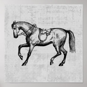 Vintage Pferd mit Hintergrund aus Notenpapier Poster