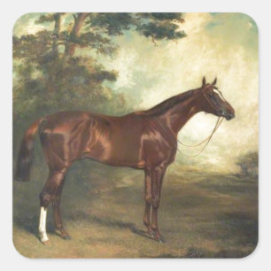 Vintage Pferd Reitsport Quadratischer Aufkleber