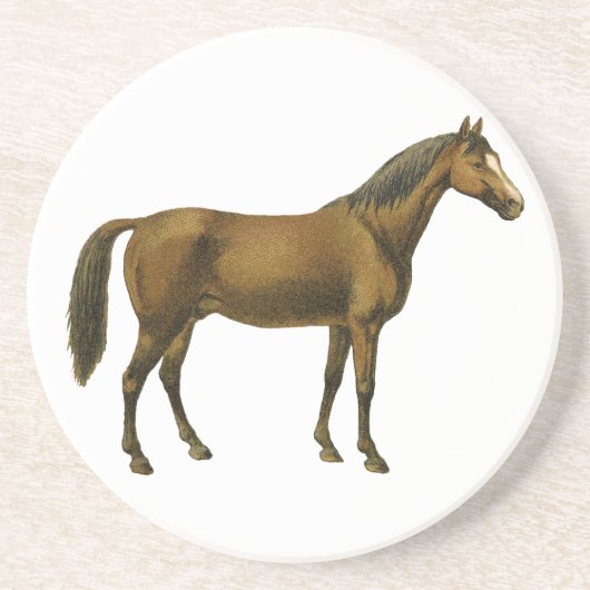 Vintage Pferd Sandstein Untersetzer (Vorne)