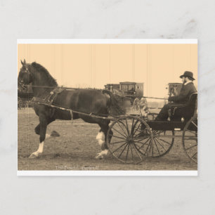 Vintage Pferd und Kutsche in Sepia Postkarte