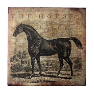 Vintage-Pferd Vollblut- und Araberpferde Fliese