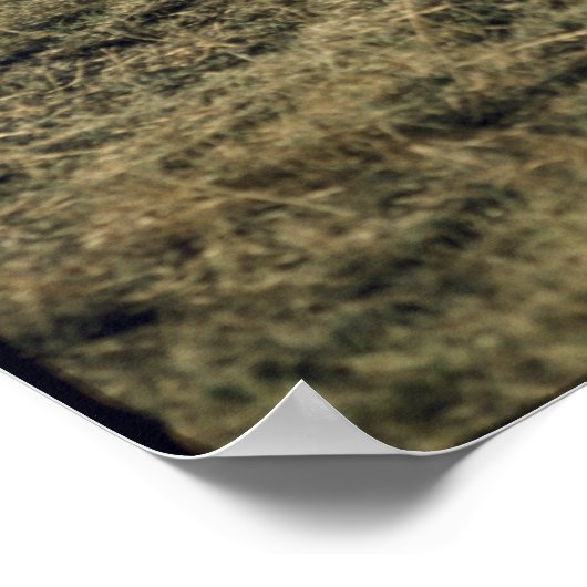 Vintage Pferde Poster (Ecke)