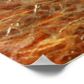 Vintage Pferdeabbildung (1905) Poster (Ecke)