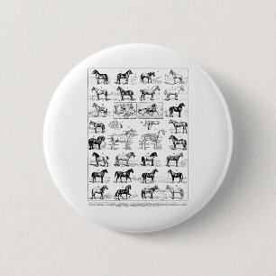 Vintage Pferdearten Pferderasse Ridi Button