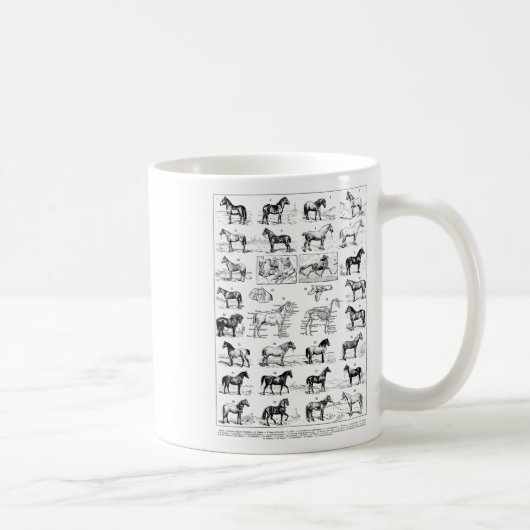Vintage Pferdearten Pferderasse Ridi Kaffeetasse (Rechts)
