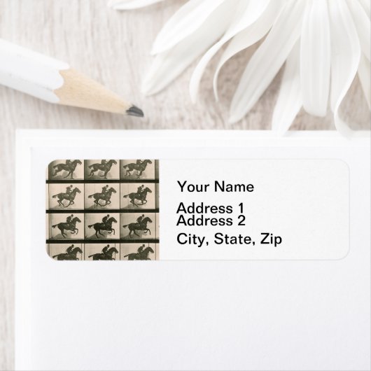 Vintage Pferdefotografie (Insitu)