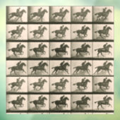 Vintage Pferdefotografie Fensteraufkleber (Blatt 3)