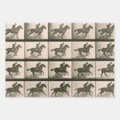 Vintage Pferdefotografie Geschenkpapier Set (Vorderseite)