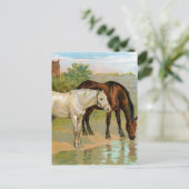 Vintage Pferdemalerei Postkarte (Stehend Vorderseite)