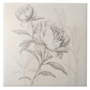 Vintage Pfingstrose 1 Botanisches Dekorfliese Fliese