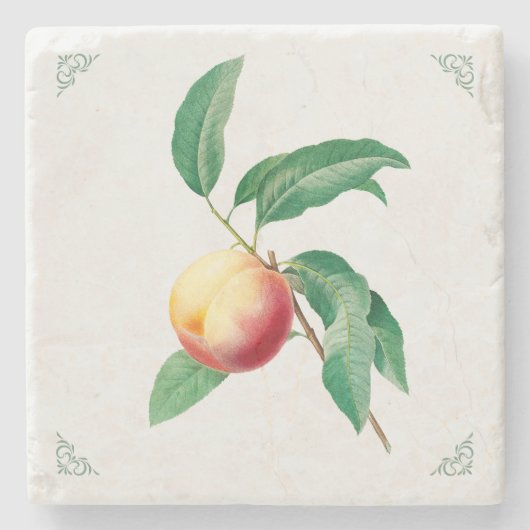 Vintage Pfirsich-Frucht-Illustration Steinuntersetzer (Vorderseite)