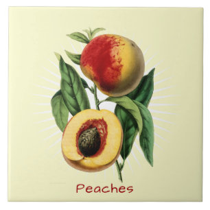 Vintage-Pfirsiche Frucht Botanische Kunst Keramikf Fliese