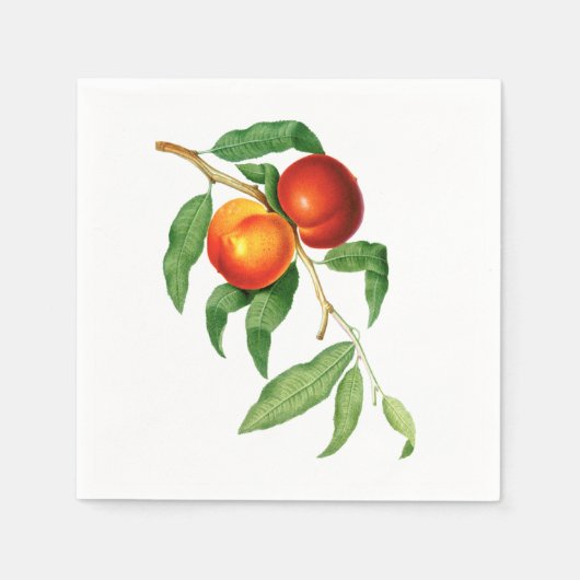 Vintage Pfirsiche Serviette (Vorderseite)