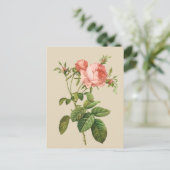 Vintage pfirsichfarbene Rose Postkarte (Stehend Vorderseite)