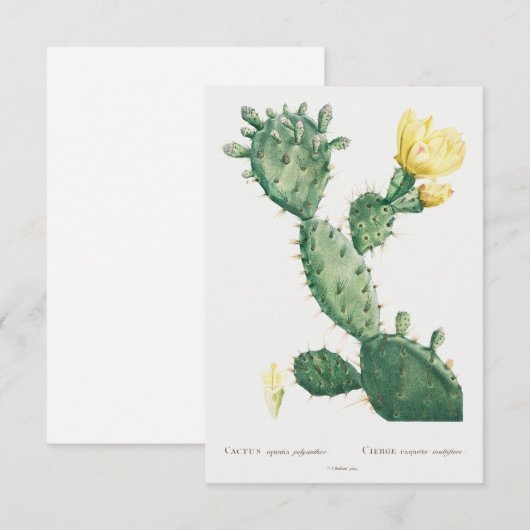 Vintage Pflanze (Vorne/Hinten)