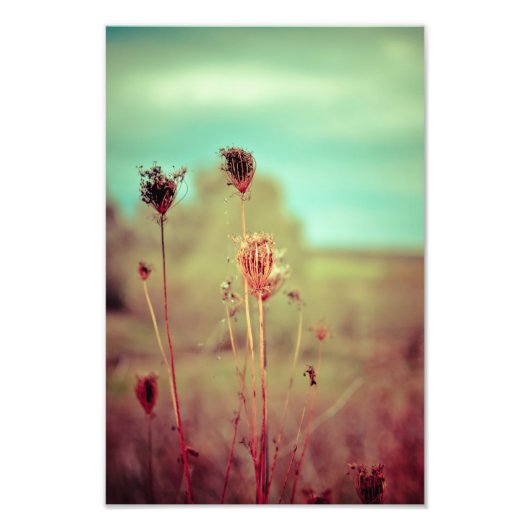 Vintage Pflanze Fotodruck (Vorne)