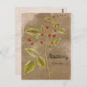 Vintage Pflanze Himbeere-Postkarte Postkarte (Vorne/Hinten)