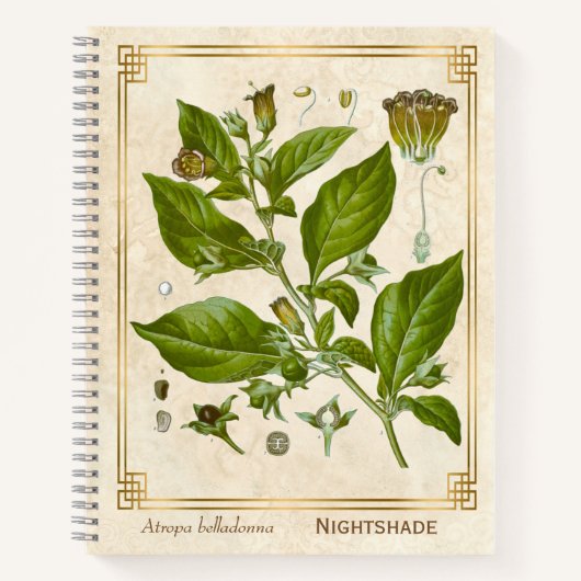 Vintage Pflanze Nightshade Belladonna Herb Notizblock (Vorderseite)