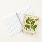 Vintage Pflanze Nightshade Belladonna Herb Notizblock (Innenseite)