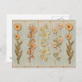 Vintage Pflanze Postkarte (Vorne/Hinten)