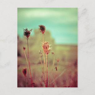 Vintage-Pflanzen Postkarte