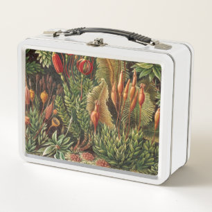 Vintage Pflanzenwelt Metall Brotdose