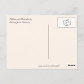 Vintage Pflücke und Schmetterlinge Postkarte (Rückseite)