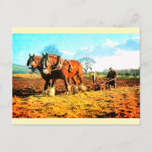 Vintage Pflüglerei Postkarte (Vorderseite)