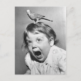 Vintage Photo Postcard Postkarte