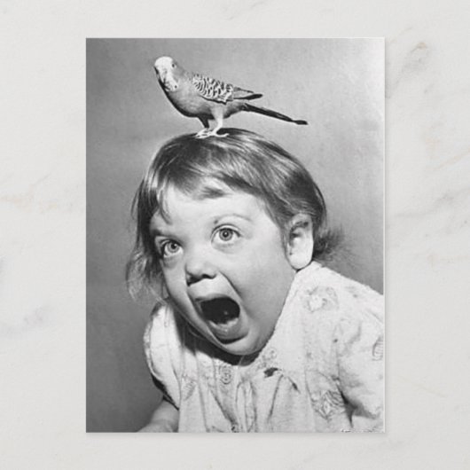 Vintage Photo Postcard Postkarte (Vorderseite)