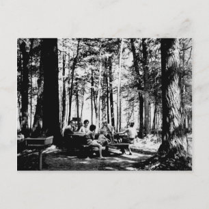 Vintage-Picknick bei Gorge Falls, Oberes Michigan Postkarte
