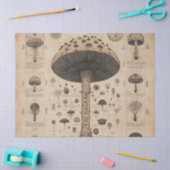 Vintage-Pilz-Botanik-Chart (10) Seidenpapier (Basteln)