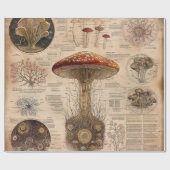 Vintage Pilz-Botanik-Chart (2) Geschenkpapier (Flach)