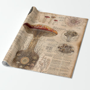 Vintage Pilz-Botanik-Chart (2) Geschenkpapier