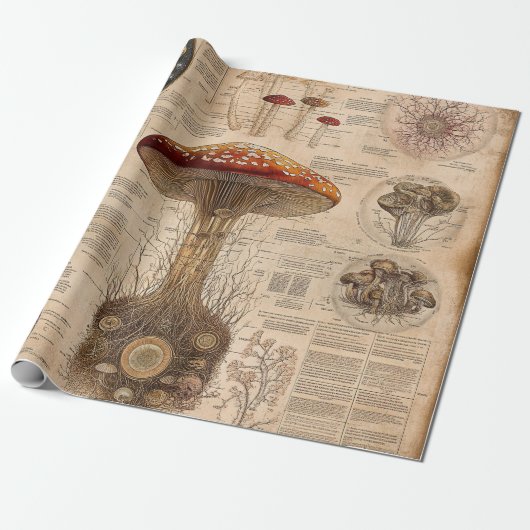 Vintage Pilz-Botanik-Chart (2) Geschenkpapier (Ungerollt)