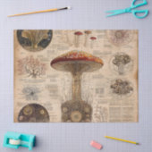 Vintage Pilz-Botanik-Chart (2) Seidenpapier (Basteln)